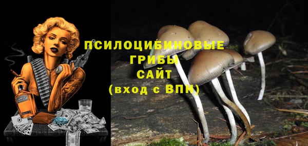 а пвп мука Балахна